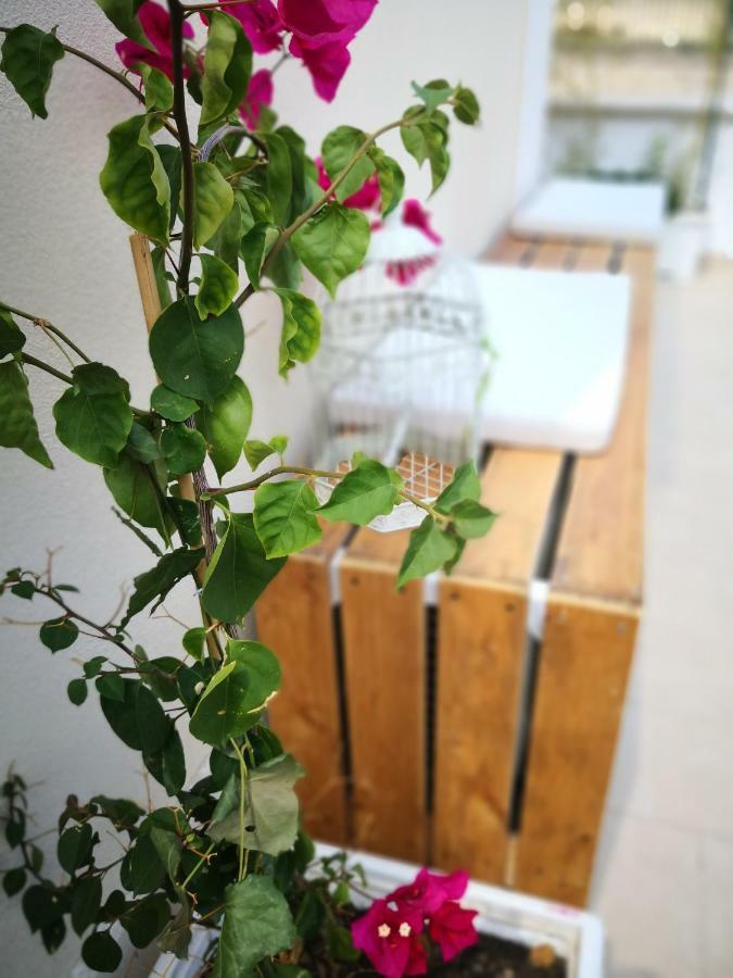 莱切La Roche住宿加早餐旅馆 外观 照片
